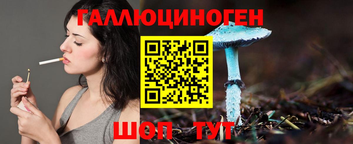 Избербаш  Псилоцибиновые грибы прущие грибы  Галлюциногенные грибы мицелий  Вход с VPN 