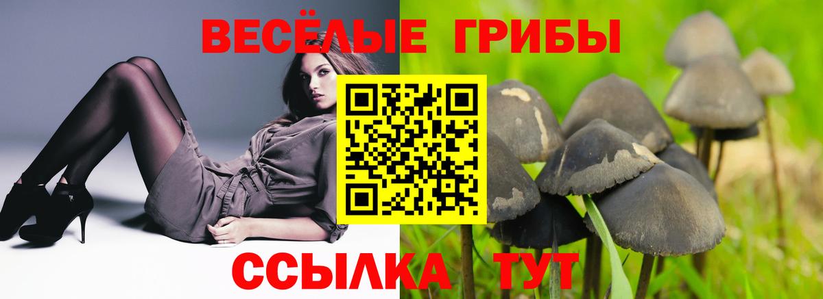 Галлюциногенные грибы MAGIC MUSHROOMS Избербаш