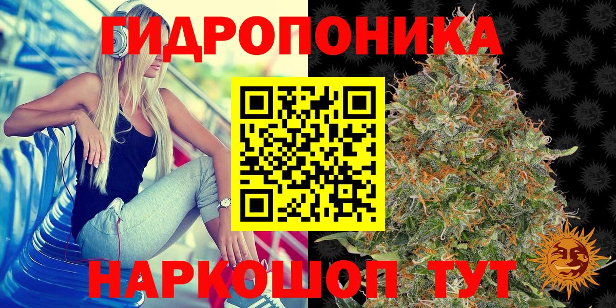 Конопля Bruce Banner Избербаш